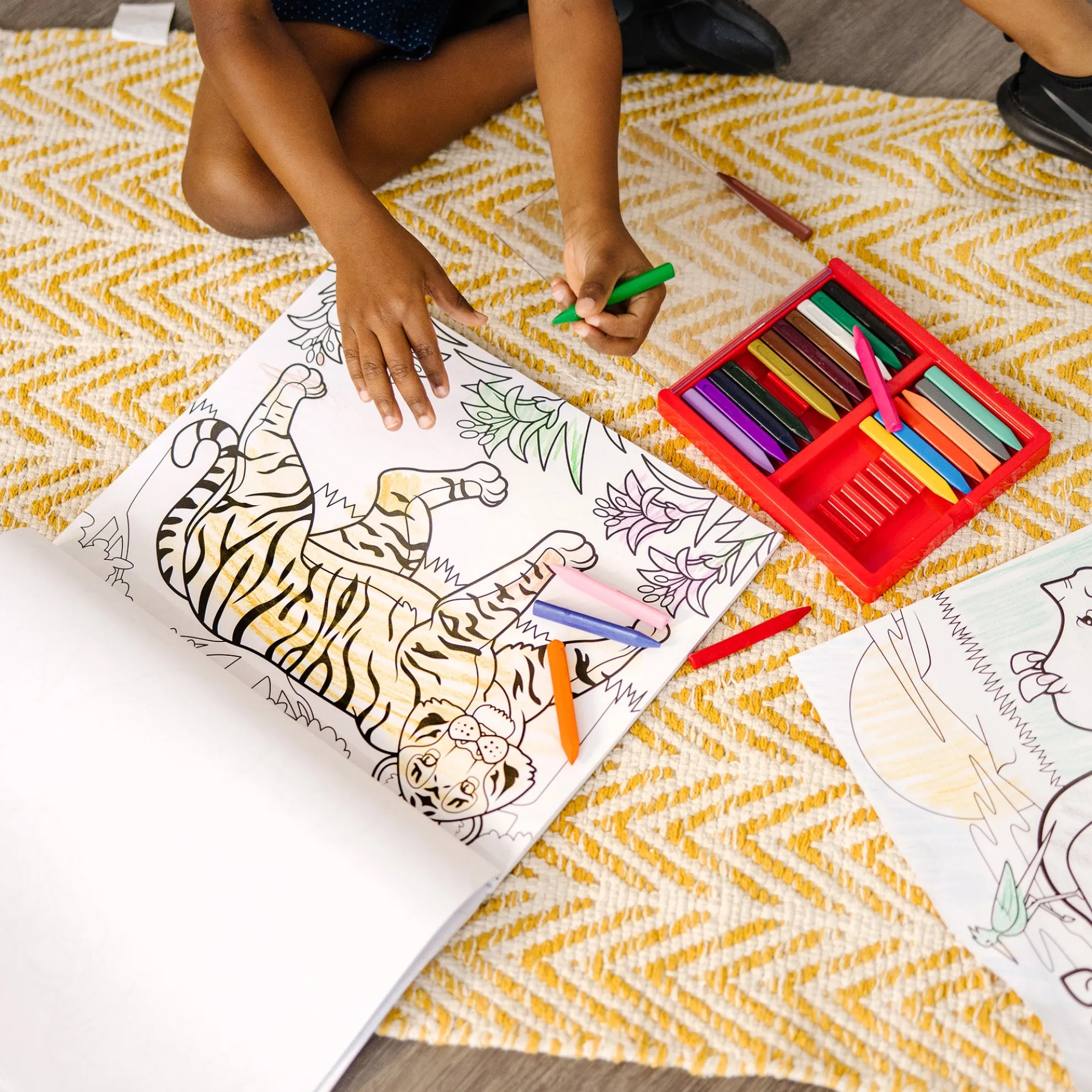 Coloring Pad 3-Pack: Animals, Vehicles, Multi-Theme