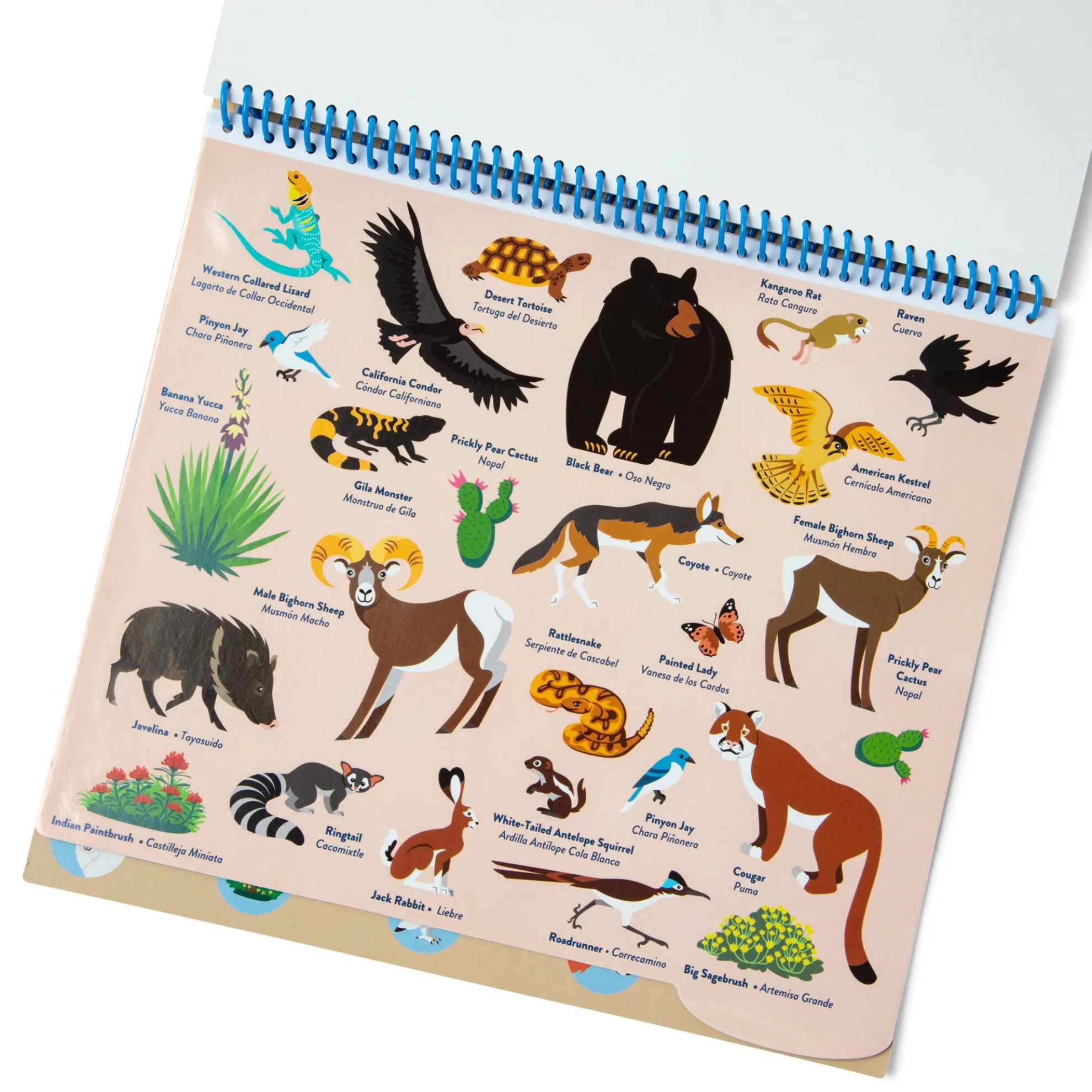 National Parks Reusable Stickers – Park Animals (5 Scenes, 121 Stickers)