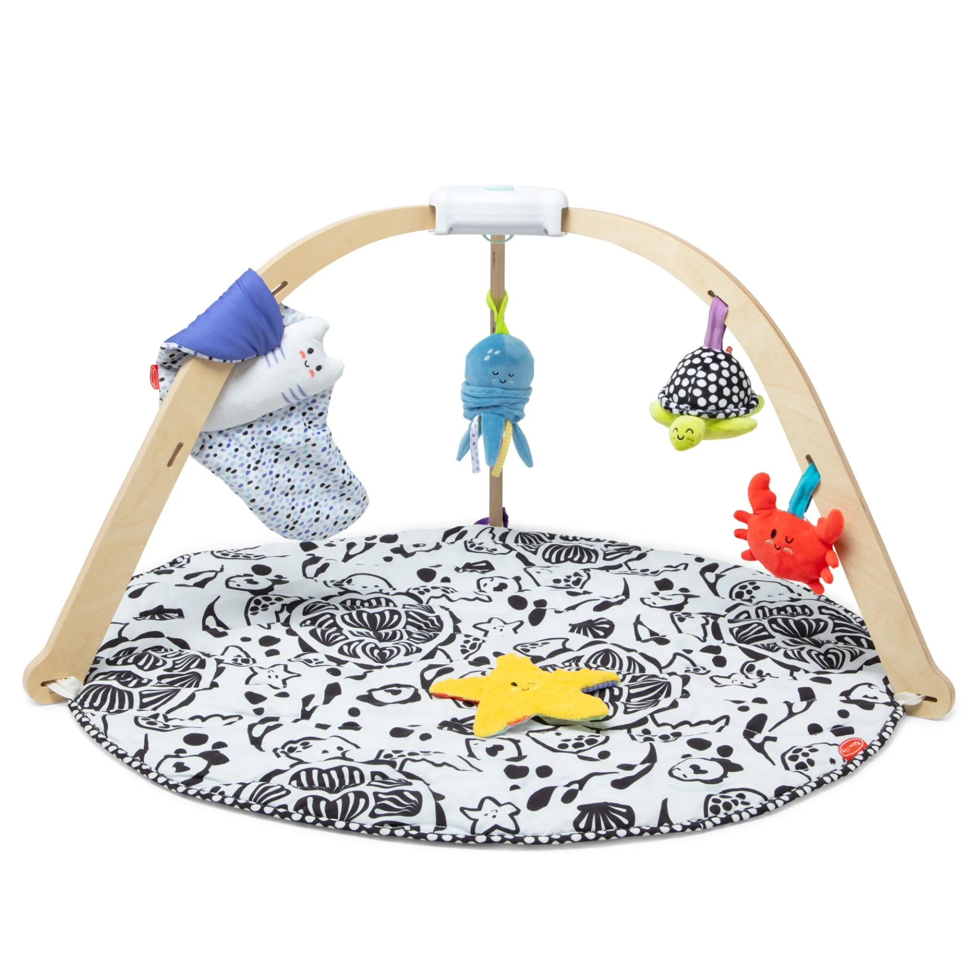 Ocean Easy-Fold Play Gym